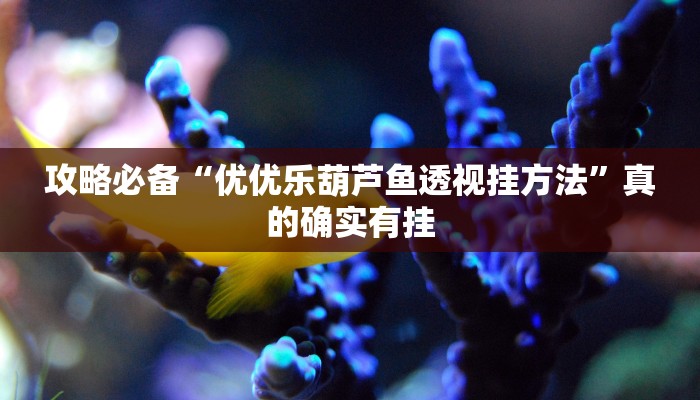 实测分享好友十三水辅助开挂”(原来确实是有挂)