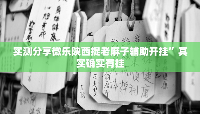 实测分享微乐刨幺助赢神器”其实确实有挂
