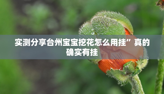 实测教程”全民十三水作弊透视软件方法”真的确实有挂