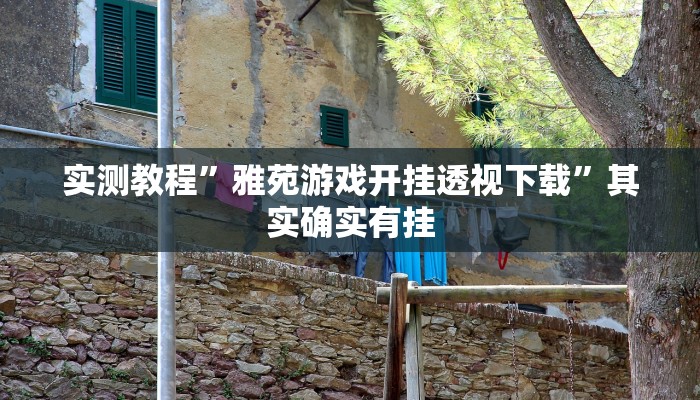 攻略必备“宁波竞技馆十三道辅助挂软件”(原来确实是有挂)