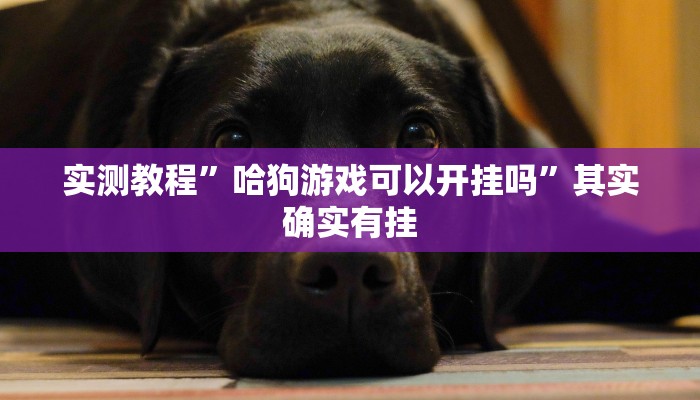 实测分享大头十三水开挂神器”真的确实有挂