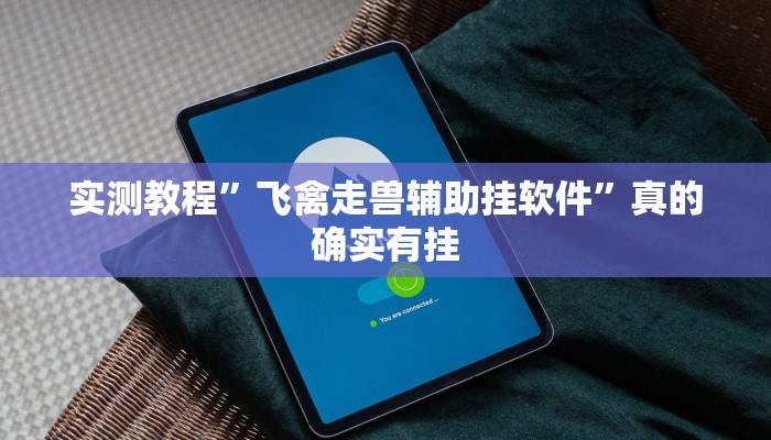 实测教程”飞禽走兽辅助挂软件”真的确实有挂