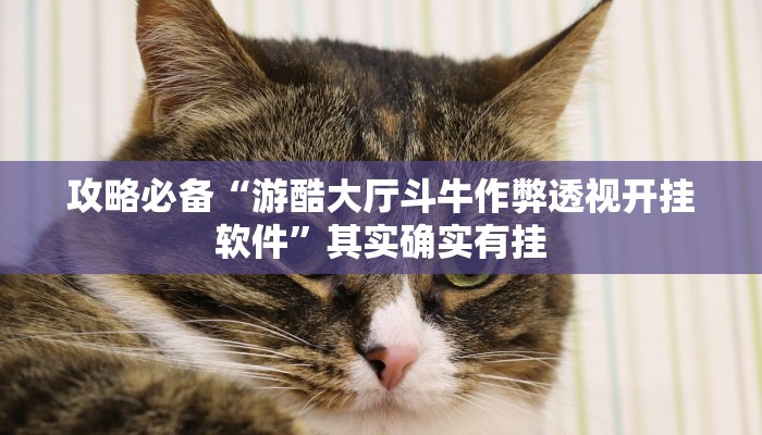 实测分享新九点麻将透视挂方法”真的确实有挂