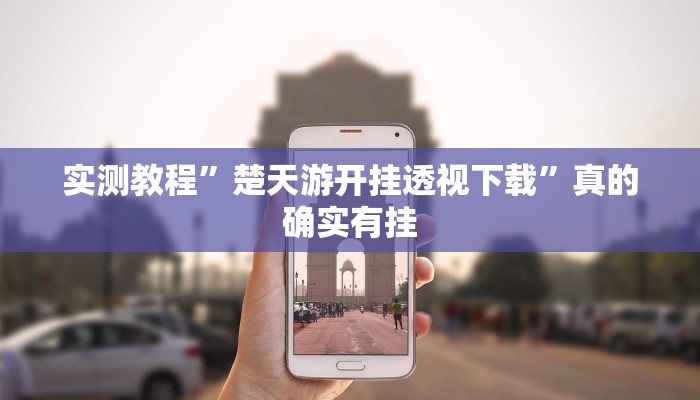 实测教程”温州茶苑透视挂方法”真的确实有挂