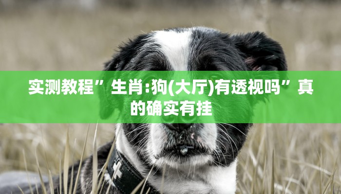 攻略必备“新版神兽究竟有没有透视”(原来确实是有挂)