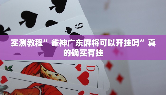 攻略必备“相约麻将十三水通用挂”其实确实有挂
