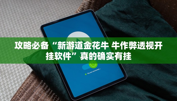 攻略必备“新游道金花牛 牛作弊透视开挂软件”真的确实有挂