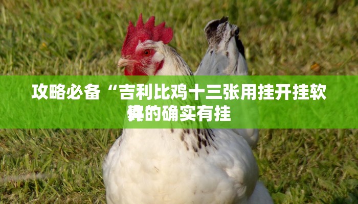 实测教程”博雅地方棋牌作弊透视开挂软件”其实确实有挂
