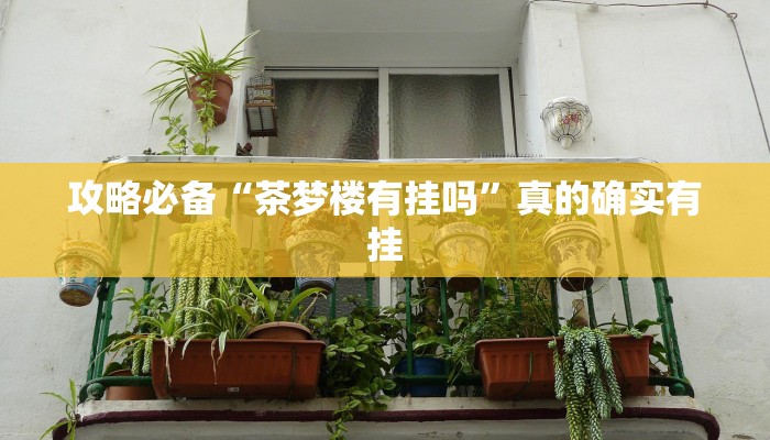 实测教程”微乐双扣开挂神器”其实确实有挂
