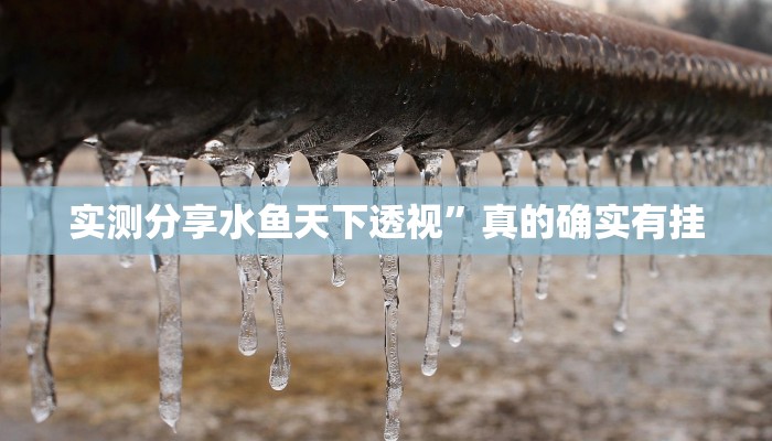 攻略必备“大头大菠萝怎么用挂”真的确实有挂