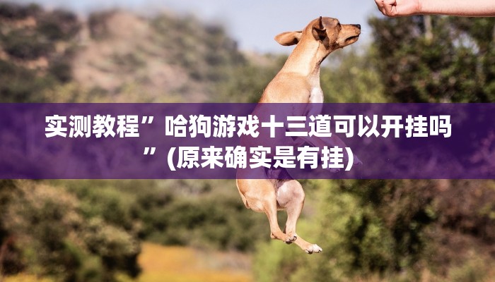 攻略必备“浙北十三道透视软件”(原来确实是有挂)