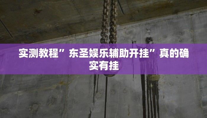 实测教程”东圣娱乐辅助开挂”真的确实有挂