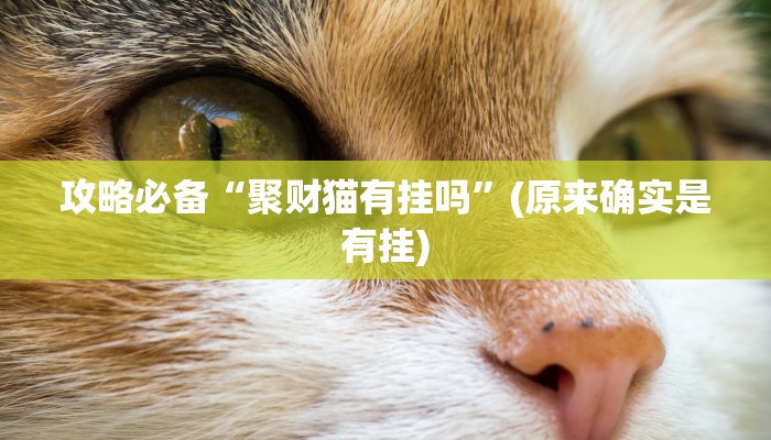 实测分享全民牛牛辅助开挂”(原来确实是有挂)