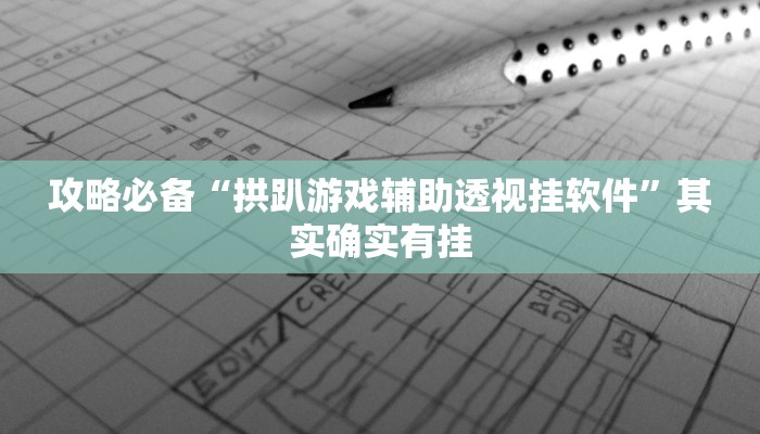 攻略必备“拱趴游戏辅助透视挂软件”其实确实有挂
