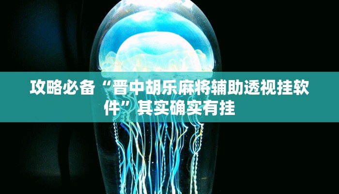 攻略必备“天天踢填大坑透视软件”(原来确实是有挂)