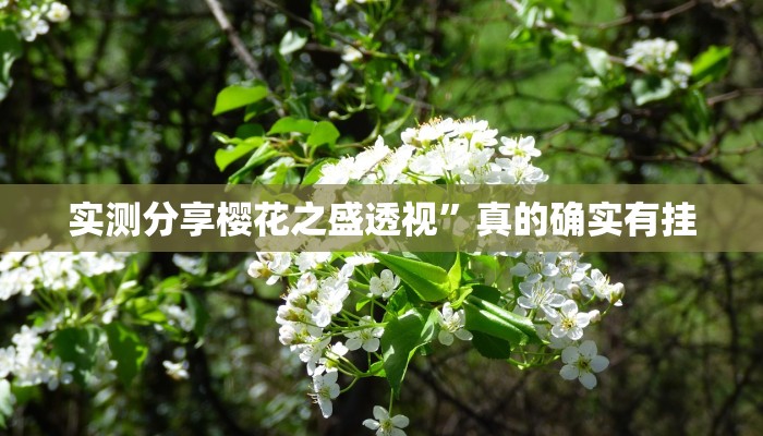 攻略必备“宝龙互娱可以开挂吗”其实确实有挂

