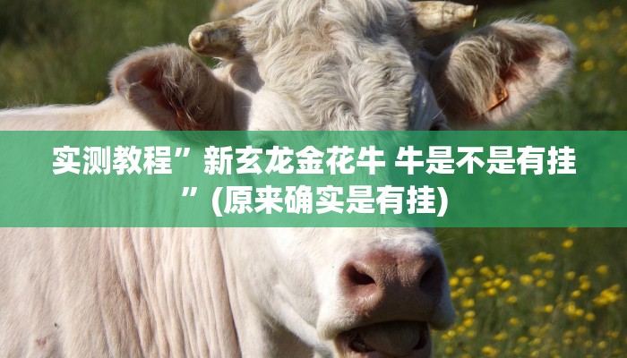 实测教程”柠檬大厅3+1万能开挂器通用版”真的确实有挂