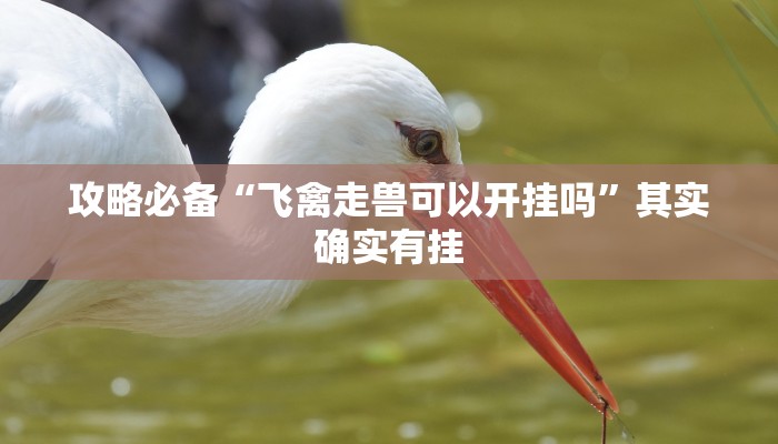 实测分享老夫子互娱斗牛开挂神器”(原来确实是有挂)