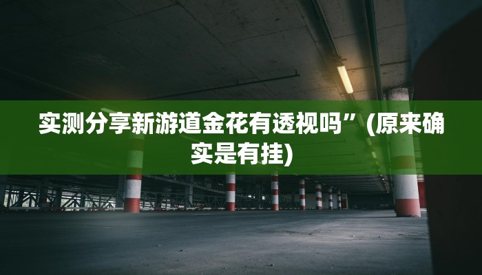 攻略必备“随意玩斗牛辅助透视挂软件”其实确实有挂
