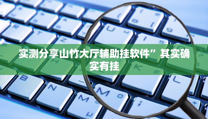 攻略必备“新青鸟作弊透视软件方法”(原来确实是有挂)