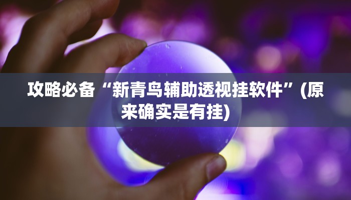 攻略必备“新西部用挂开挂软件”
其实确实有挂
