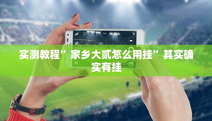 实测教程”茶梦楼透视挂方法”(原来确实是有挂)