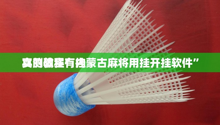 攻略必备“皮皮四川麻将是不是有挂”其实确实有挂
