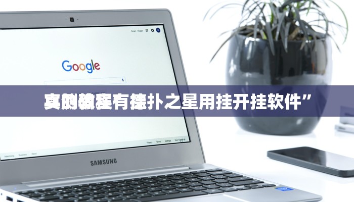 实测教程”智星德州菠萝通用挂”(原来确实是有挂)