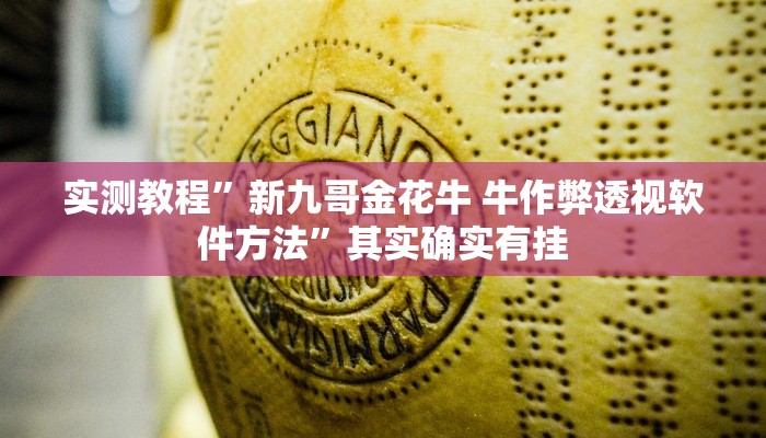 攻略必备“蜀州麻将石城助赢神器”真的确实有挂