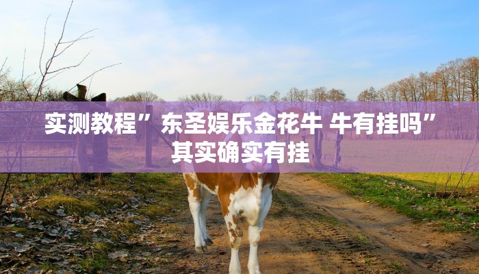 攻略必备“二八杠可以开挂吗”真的确实有挂