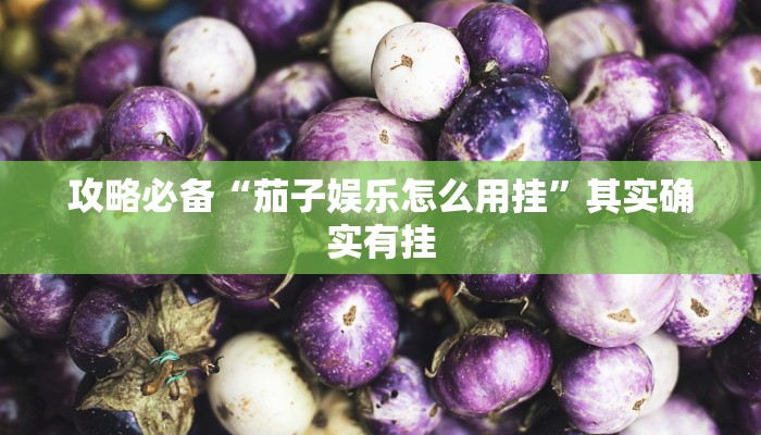 实测分享胡乐白银麻将作弊透视软件方法”其实确实有挂
