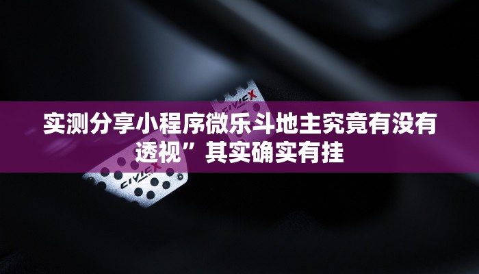 攻略必备“阿拉奉化游戏怎么用挂”其实确实有挂
