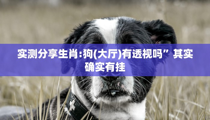 实测教程”哈哈贵阳捉鸡麻将用挂开挂软件”
其实确实有挂
