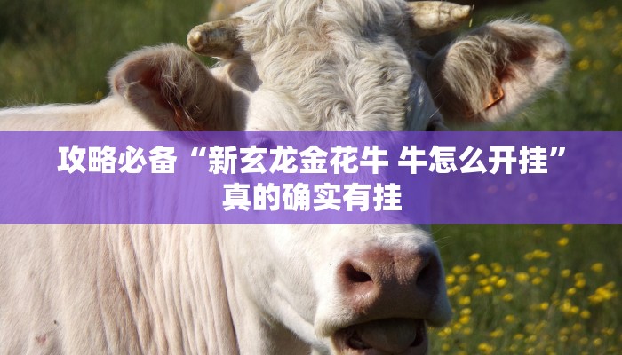实测分享北方家乡游戏透视挂”真的确实有挂