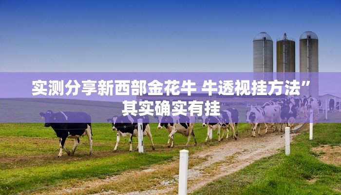 实测分享边锋掼蛋透视”真的确实有挂