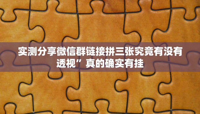 攻略必备“新战皇大厅万能开挂器通用版”(原来确实是有挂)