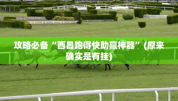 攻略必备“新六耳透视”其实确实有挂
