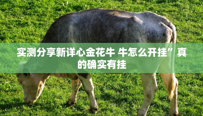 实测分享智星德州菠萝是不是有挂”真的确实有挂