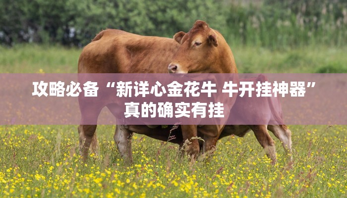 攻略必备“鸿狐大厅拼三张透视挂方法”真的确实有挂