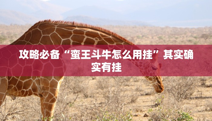 攻略必备“新战皇斗牛透视软件”(原来确实是有挂)
