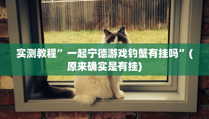实测分享永州扯胡子作弊透视开挂软件”其实确实有挂
