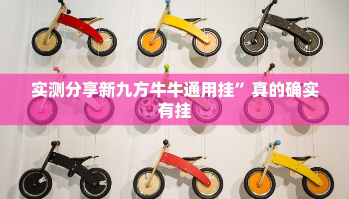 实测教程”新长虹金花牛 牛透视软件”真的确实有挂