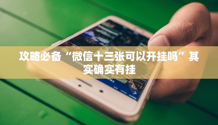 攻略必备“宜兴麻将万能开挂器通用版”其实确实有挂
