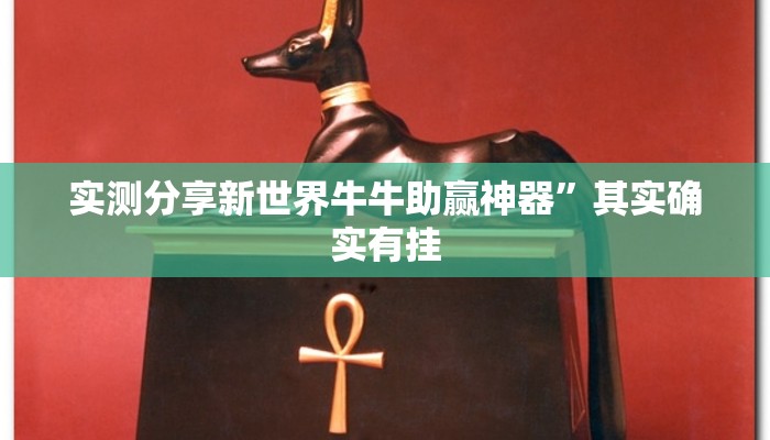 实测教程”百信棋牌助赢神器”真的确实有挂