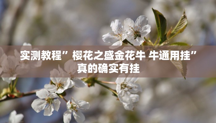 攻略必备“微信小程序麻将作弊透视软件方法”真的确实有挂