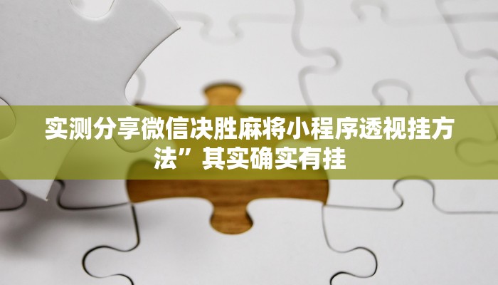 攻略必备“钱塘十三水辅助开挂”真的确实有挂