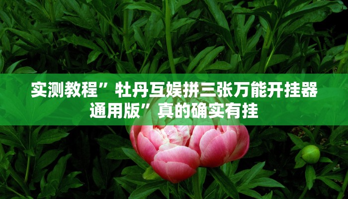 攻略必备“微乐麻将辅助透视挂软件”其实确实有挂
