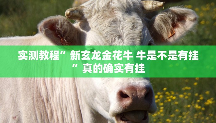 实测教程”寓教娱乐开挂神器”其实确实有挂
