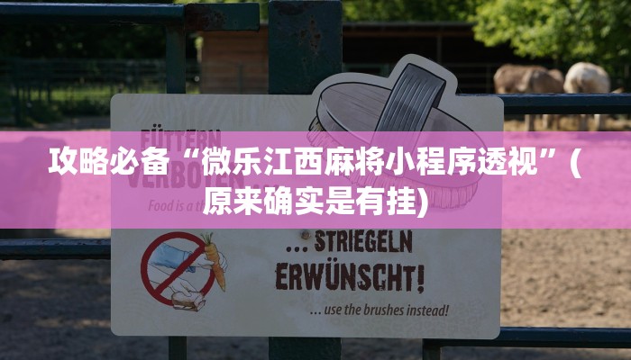 实测教程”速八联盟透视挂”(原来确实是有挂)