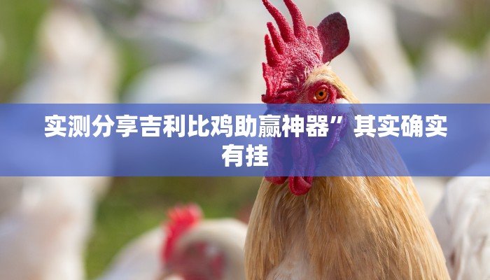 实测分享789大菠萝开挂透视下载”真的确实有挂